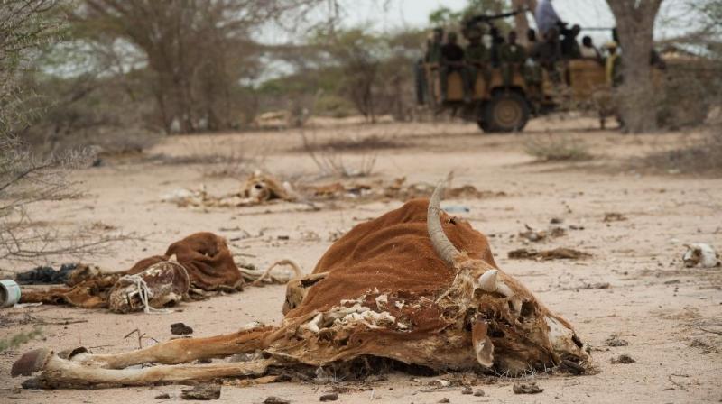 Severe drought and conflict in Somalia caused a famine in 2010-2012 that eventually killed a quarter of a million people (Photo: AFP)