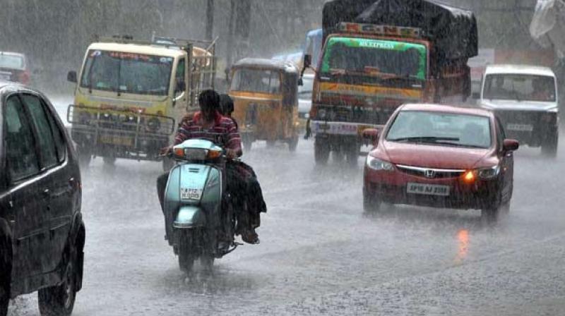 This year the rain was bountiful in June, while July has been largely dry.