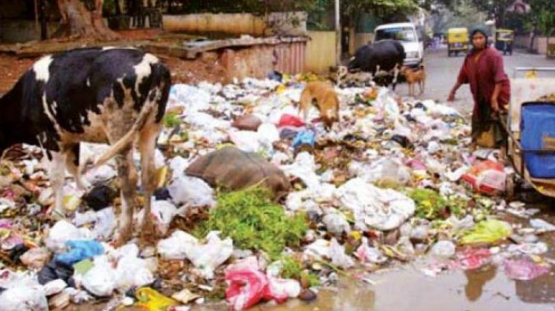 Burying of waste is not a permanent solution. Segregations of waste is the only way to effective waste management,  said the official. (Representational Images)