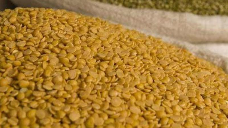 The tur dal grown in Kalaburagi has a unique aroma and taste, which is lacking in dal grown in rest of the country or even the world. The Kalaburagi variety takes less time to cook as well when compared to other dal. The tur dal grown in Kalaburagi has a unique aroma and taste, which is lacking in dal grown in rest of the country or even the world. The Kalaburagi variety takes less time to cook as well when compared to other dal.