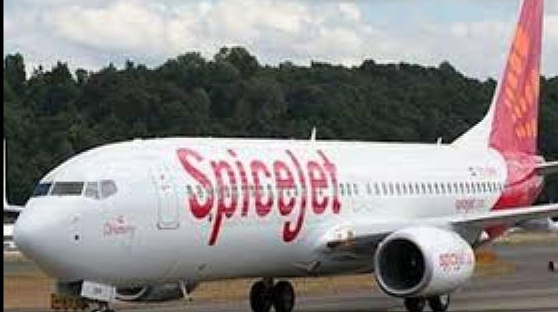 SpiceJet shares tank nearly 7 per cent after December quarter earnings