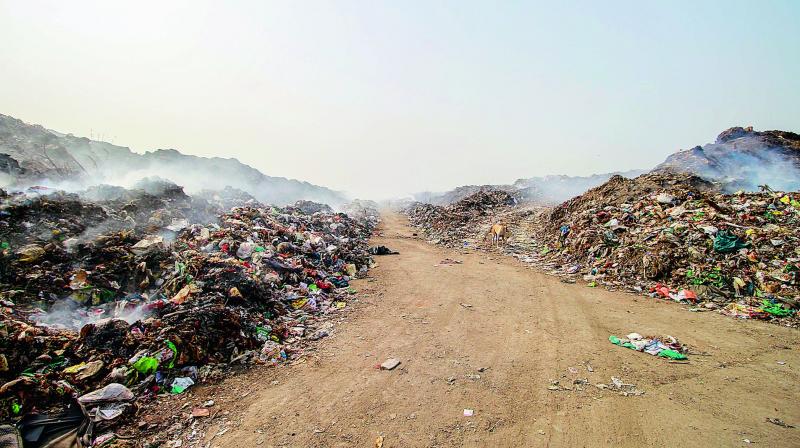 Heaps of garbage at the Kakatiya Solid Waste Management Park at Rampur. (Photo: DC)