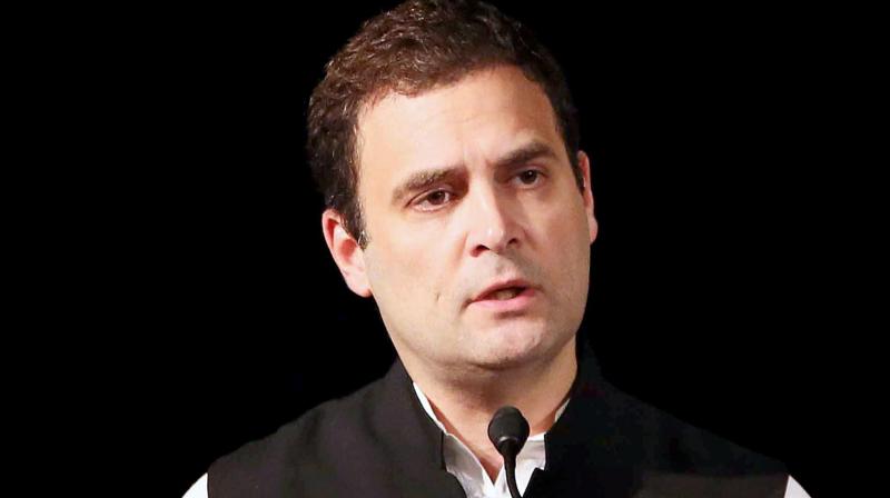But, Rahul Gandhi said there were a large number of people in the Congress Party who were not from dynastic families. (Photo: PTI)