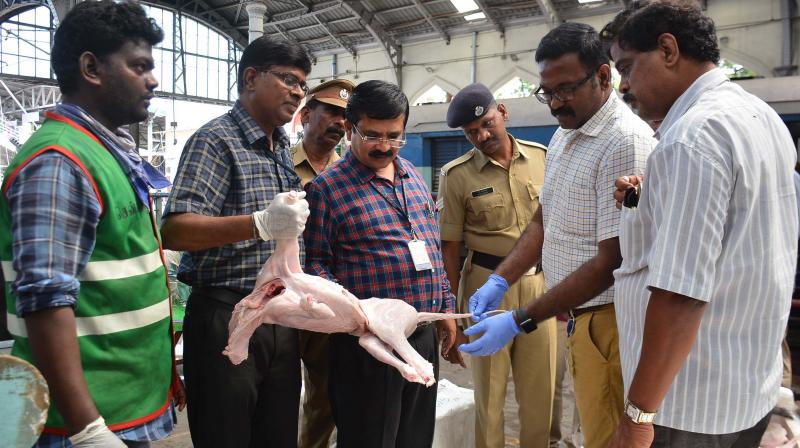 Food safety officials with a carcass. (Photo: DC)
