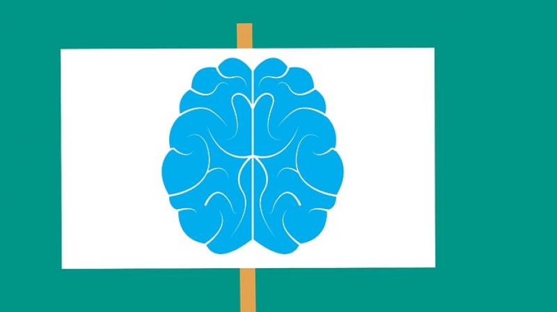 Researchers develop test that could help detect degenerative brain diseases. (Photo: Pixabay)