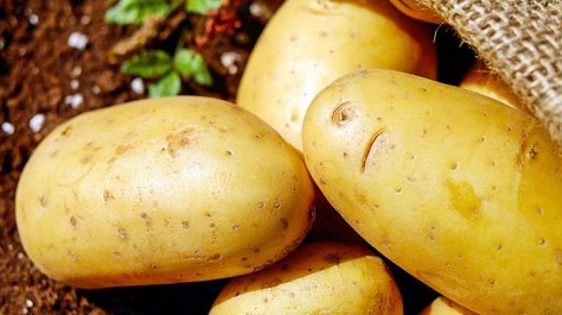 A serving of the lab-engineered potato has the potential to provide as much as 42% of a childs recommended daily intake of vit A. (Photo: Pixabay)