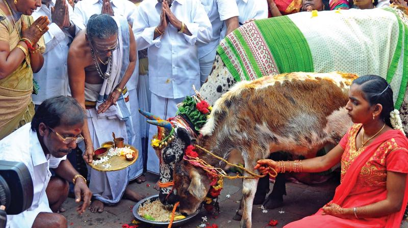 A special gho pooja was held at Tondiarpet  for the speedy recovery of Chief Minister J. Jayalalithaa. The function was presided by E. Madhusudhanan,  presidium chairman, on Sunday (Photo: DC)