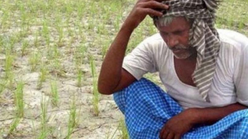 â€œMy father is a farmers in our village and he has always worked hard to fund my education. I have been able to study so far only because of his continued guidance. Whenever the preparation felt too tough, I would think about my father who was my motivating factor,â€says Jayendra.  (Representational image)