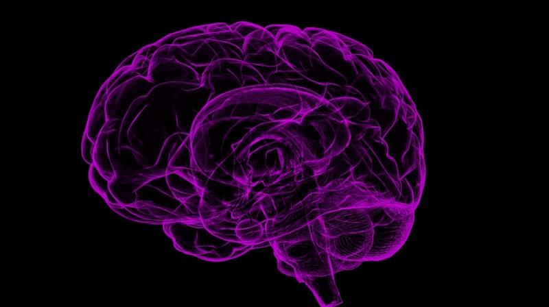 New technique allows scientists to see how brain cells talk. (Photo: Pixabay)
