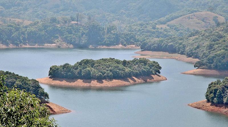 The Tamil Nadu government on Wednesday said its persistent efforts to stop the Kerala government move to build a dam across Siruvani river had succeeded.