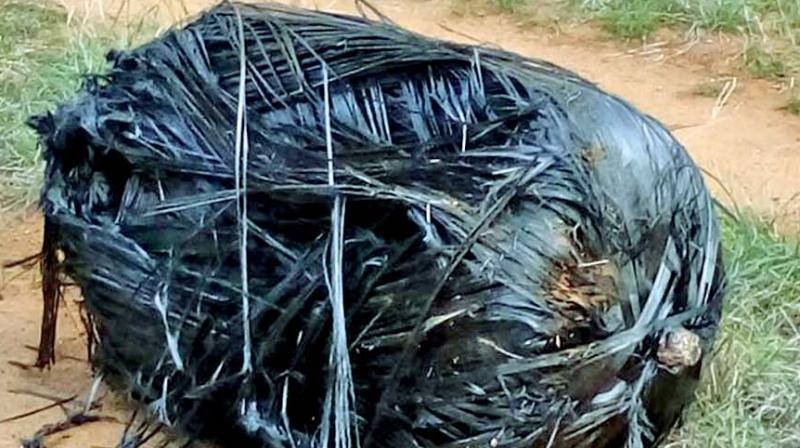 A mysterious black object fell from the sky in a farm at Mothupatti village in Dindigul  district on Wednesday. (Photo: DC)