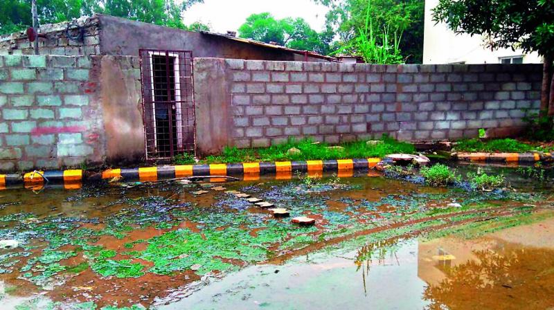 A drainage overflowing from one of the colonies near the Kapra lake. (Photo: DC)