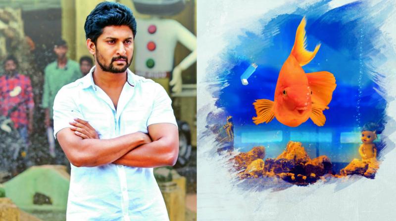 Actor Nani would be lending his voice as a narrator for his home production, Awe, we did not know that he would be lending his voice to a fish!  (Photo: DC)