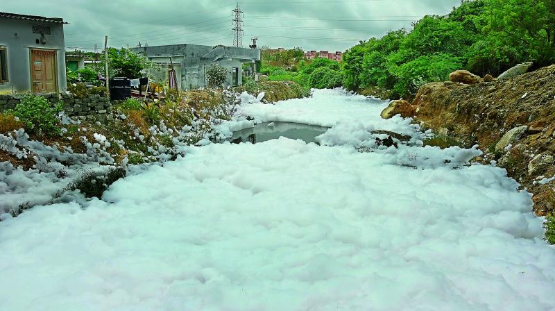 It was a shock for residents as the nala at Dharaninagar in Allwyn Colony at Kukatpally, threw up toxic foam on Thursday. (Photo: DC)