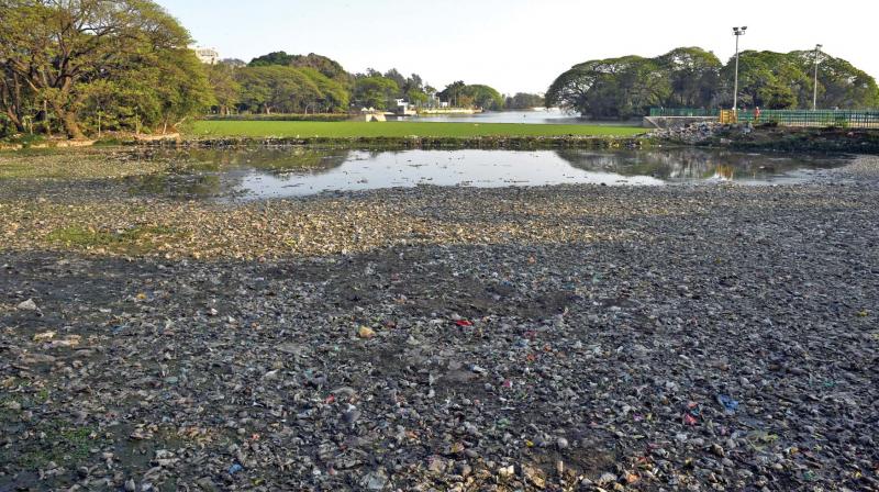 Ulsoor lake