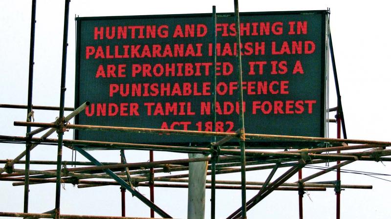 Conservation department install digital LED boards near Pallikarnai. (Photo: DC)