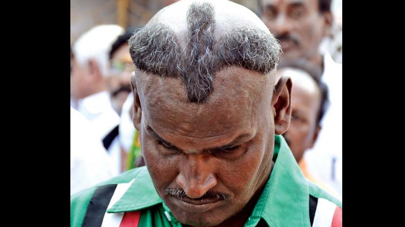 An AIADMK cadre at  RK Nagar sports two  leaves haircut to show  support for his party. 	(Photo: DC0