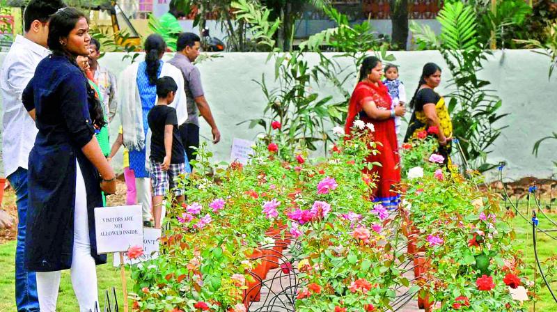 A file photo of flower show in Vijayawada.