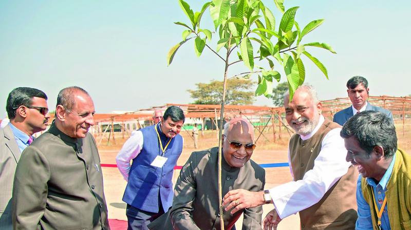 President Ram Nath Kovind plants the 1,00,000th sapling at Heartfulness Institute at Kanha Shantivanam on Monday. (Photo: DC)