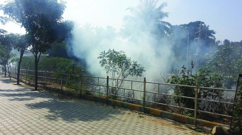 Garbage being burnt near the Kaggadasapura Lake. (Photo:DC)