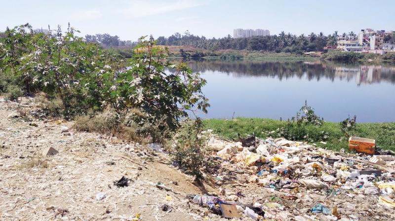 Garbage dumped illegally at Somasundarapalaya Lake.  (Photo:DC)