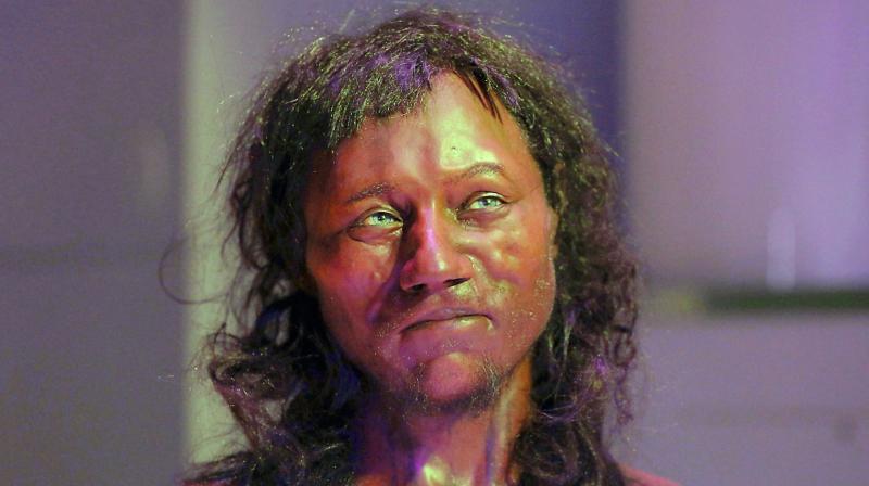 Full facial reconstruction model of a head based on the skull of Britains oldest complete skeleton on display during a screening event of The First Brit: Secrets Of The 10,000 Year Old Man at The Natural History Museum, in London on Wednesday. (Photo: AP)