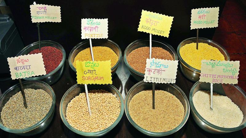 Types of millets displayed at Millets Kitchen