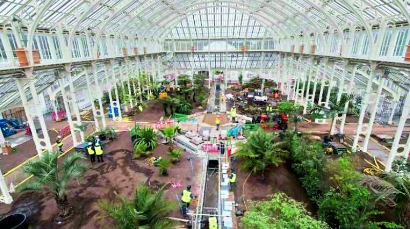 The worlds largest Victorian glasshouse with rare plants after a facelift.