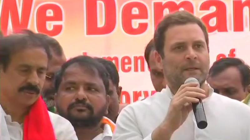 Congress chief Rahul Gandhi met TDP workers, who are protesting at Jantar Mantar over special category status for Andhra Pradesh. (Photo: ANI)