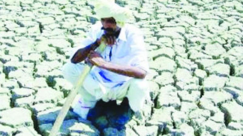 More than three lakh farmers in India have committed suicide since the bioimperialists entered our agriculture through globalisation and the so-called  free trade .
