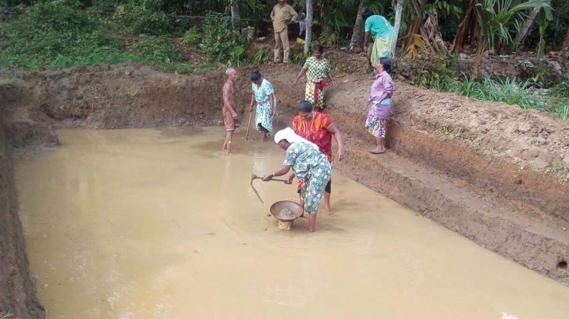 Women engaged in farm pond construction in Chengannur.
