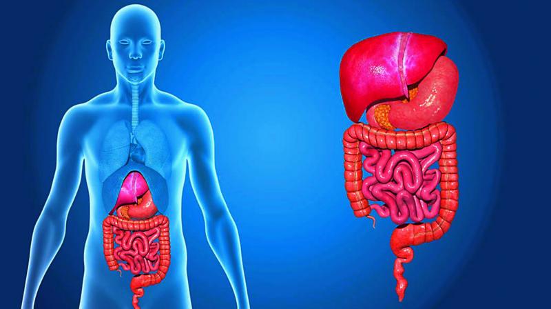 The incidence of neuroendorcrine tumours (NET) has seen a five-fold increase in the last decade.