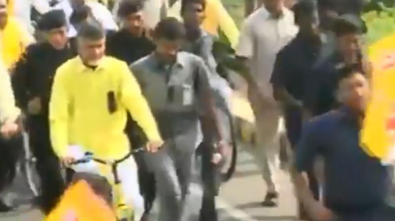 Chandrababu Naidu takes out cycle rally to press for Andhra special status