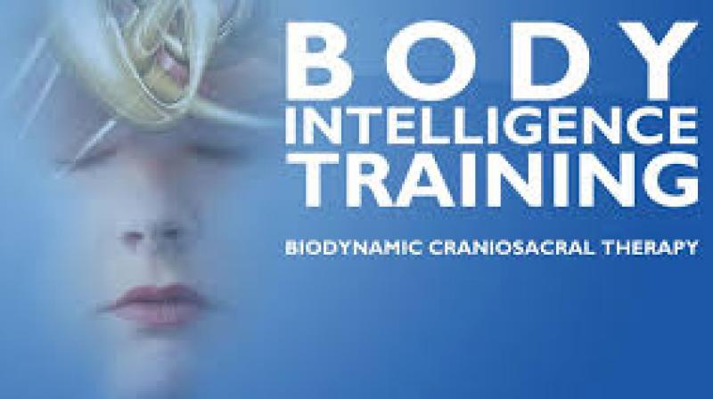 Body Intelligence Training and Biodynamic Cranio-sacral Therapy (Photo: www.bodyintelligence.com)