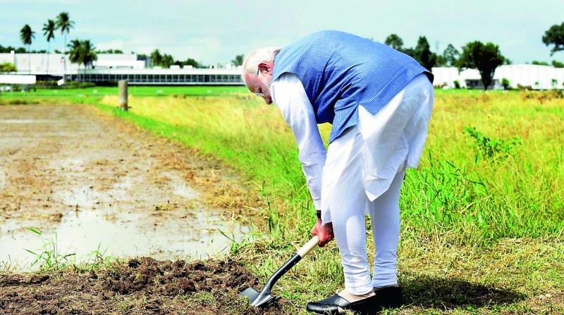 PM Narendra Modi breaks ground for resilient rice field laboratory, at the International Rice Research Institute, in Los Banos, Philippines on Monday. (Photo:  PTI )