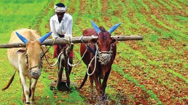 The amount, to be transferred to farmers bank accounts, will vary from state to state. The amount, to be transferred to farmers bank accounts, will vary from state to state.
