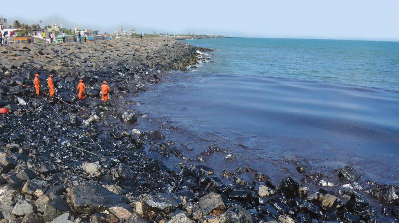 The report submitted by the fisheries department stated that the seafood, after the oil spill, has seen a reduction of 35 per cent.