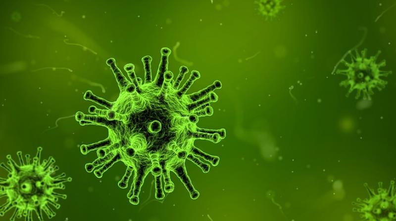 Researchers discover protein that could help tackle flu. (Photo: Pixabay)