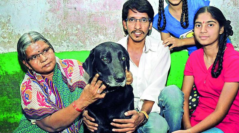 Tyson the 5-year-old Labrardor who was kidnapped from Red Hills united with his owner Jai Simha and family. (Photo: DC)