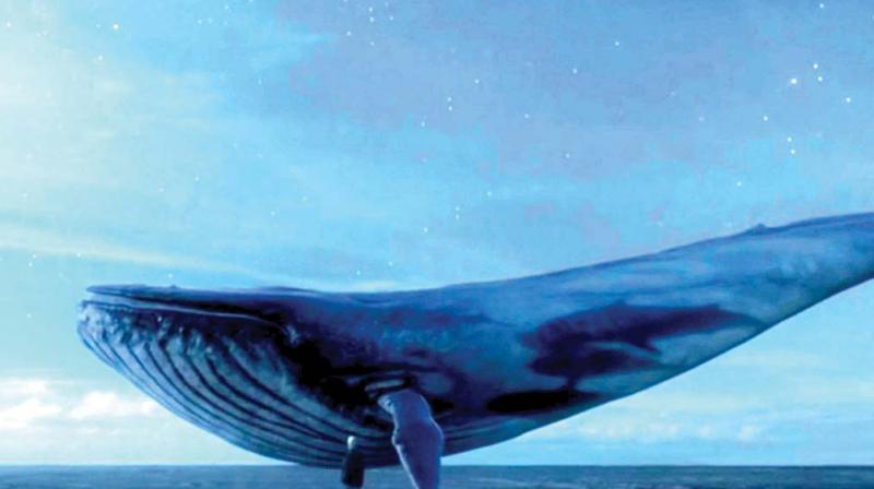 The family members spoke to the boy found that he was playing Blue Whale.