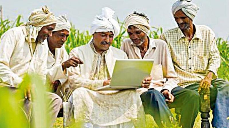 Around 13 lots of Rs 6.8 lakh  have been deposited in bank accounts of farmers, commission agents and the market fee has been paid to APMCs settlement accounts. (Representational image)