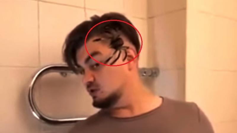 He was caught off guard as the spider crawled on his face (Photo: YouTube)