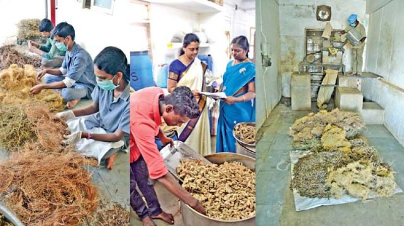 Workers prepare Nilavembu Kudineer at Siddha Central Research Institute in Anna Nagar for distribution to people in bus stops and other areas across the city. Nilavembu Kudineer contains nine ingredients and is prepared traditionally. Health minister C. Vijayabhaskar supervised the preparations on Tuesday. (Photo: N. Sampath)