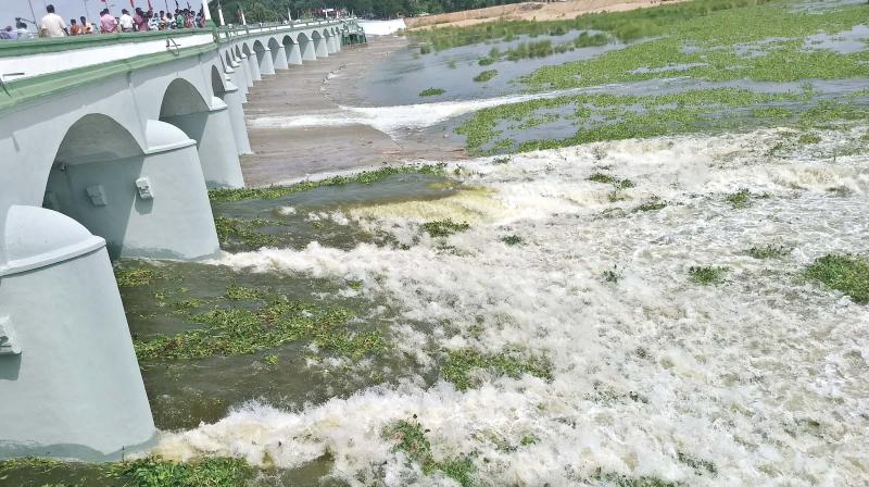 Water gushing out of Kollidam sluices at Grand Anicut after release on July 22. 	(Image: DC)