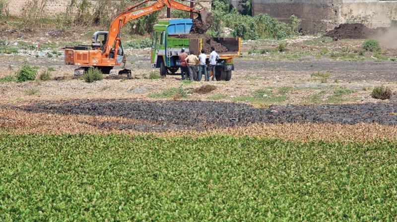 Valankulam  lake in Coimbatore dry due to low  seasonal rain (Photo: DC)