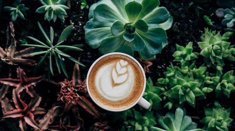 Coffee holds many benefits you may not be aware of. (Photo: Pexels)