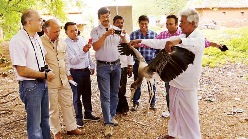 B Linge Gowda, who runs a rescue centre for birds highlights that agriculture in the  village has flourished due to the use of manure prepared from bird droppings (Photo:DC)