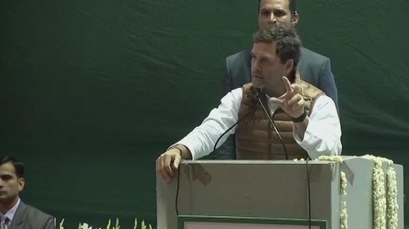 The Congress president also accused the government of eroding the authority of key institutions. (Photo: ANI | Twitter)