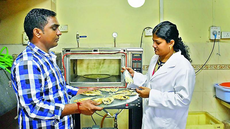 CIFT scientist P. Viji demonstrates the microwave oven for drying fish at the CIFT office in Visakhapatnam on Monday.