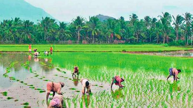 Farming in Telangana is the costliest
